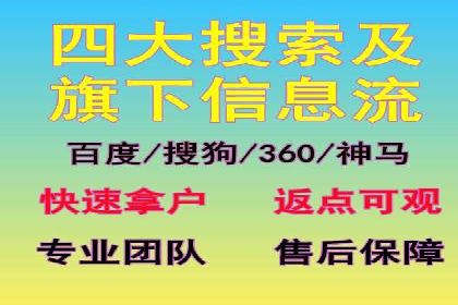 专业SEM托管服务，案例展示精准营销成果